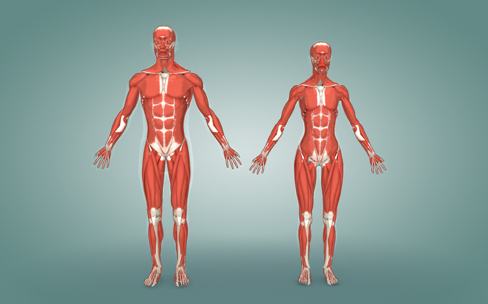 Порно эй балапан