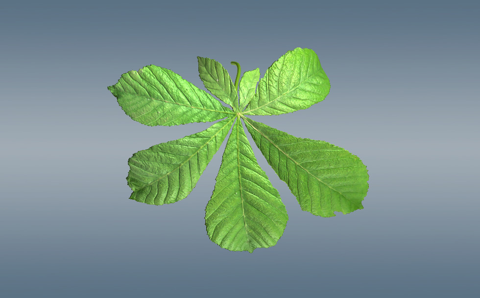 Патша дәуіріндегі порно фильмді көріңіз Орыс секс таспаларын қараңыз