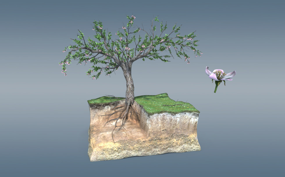 Шынжырдағы құлдың суреті