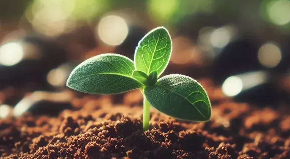 Tvarus žemės ūkis