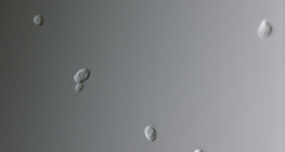 Candida fungus (most commonly causes vaginal infection)