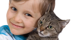 Dörgölődző macska