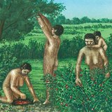 Праисторически хора събират плодове