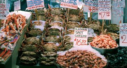 Seafood is an important food source