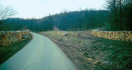 Timber stored at the roadside