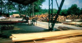Timber yard