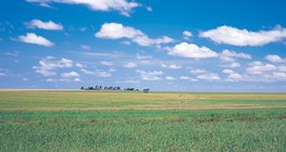 Great Hungarian Plain