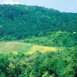 Field for feeding wild animals