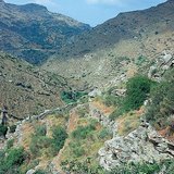 Barren hillside with maquis shrubland