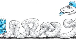 Baseballjátékos kígyó