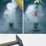 Kvet zamrazený kvapalným vzduchom je taký krehký ako porcelán