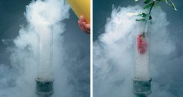 Liquid air freezes the flower so that it breaks easily