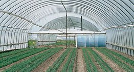 Interior of an insulated plastic greenhouse