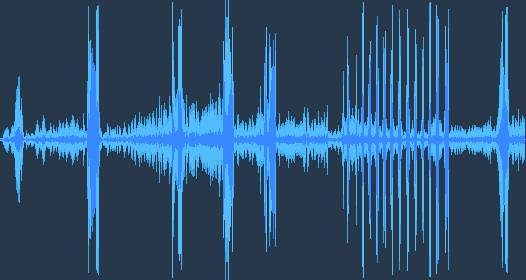 Болотный лунь