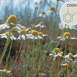 Salicylic acid derivatives have positive medical effects