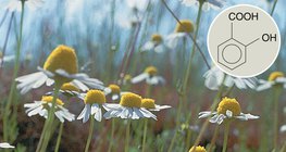 Salicylic acid derivatives have positive medical effects