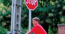 The bright colour of traffic signs serves as a warning