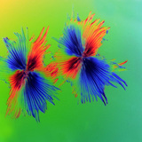 Звезднообразни трихоми