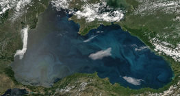 Satellite image of the algal bloom (left side) in the Black Sea