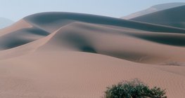 Sand dunes in the Sahara