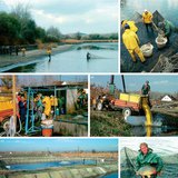 Work around a carp pond