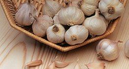 Garlic
