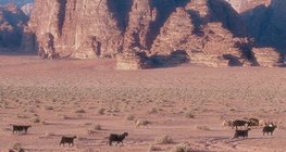 Wadi, an Arabic term for dry river bed