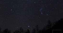 Stars of the Winter Triangle