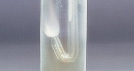 Hydrogen will continue to 'burn' in chlorine gas