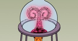 Demonstrating convective heat transfer with coloured water