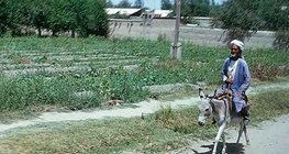 Semi-arid area in the Turan