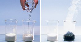 Reaction of sulfuric acid and sugar 