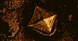 Crystals of table salt