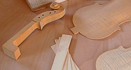 Violin making - phase 1