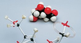 The space-filling and stick model of an open-chain formed glucose molecule