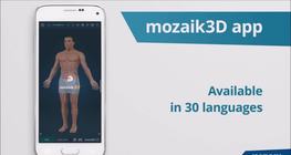 mozaik3D app