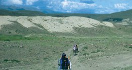 Steppe in Central Asia