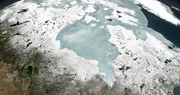 The North Pole ice cover in the Canadian region