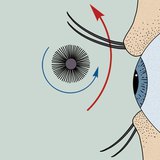 How to apply mascara