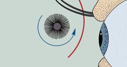 How to apply mascara