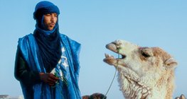 A tuareg man with a camel