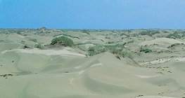 Temperate climate desert in China