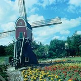 Dutch landscape with windmill