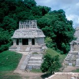 Тропична дъждовна гора с останки от древна култура