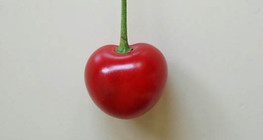 Sour cherry