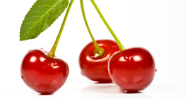 Sour cherry