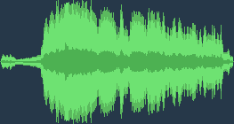 The sound of a toilet flush