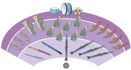 Orchestra - woodwind and brass orchestra