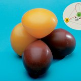 Bonds of water molecule