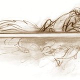 Aquatic animals survive in the 'warmer' water under the surface of the ice even if it is cold